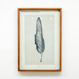 25.5" Framed Feather Print (A)