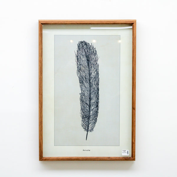 25.5" Framed Feather Print (D)