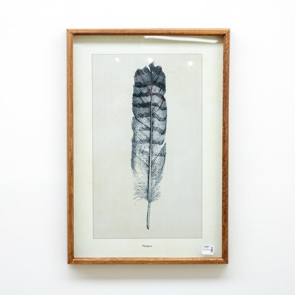 25.5" Framed Feather Print (B)