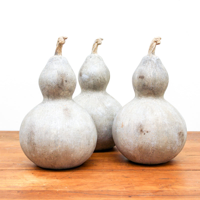 10 inch Distressed Gourd