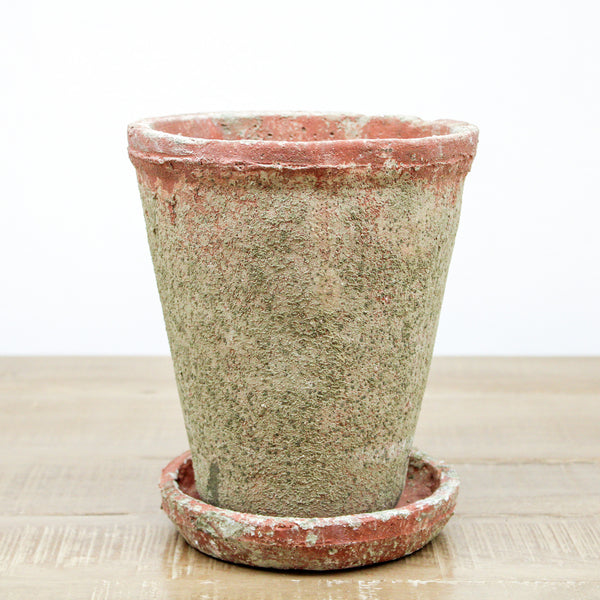 Medium Distressed Cement Planter with Saucer, Set of 2