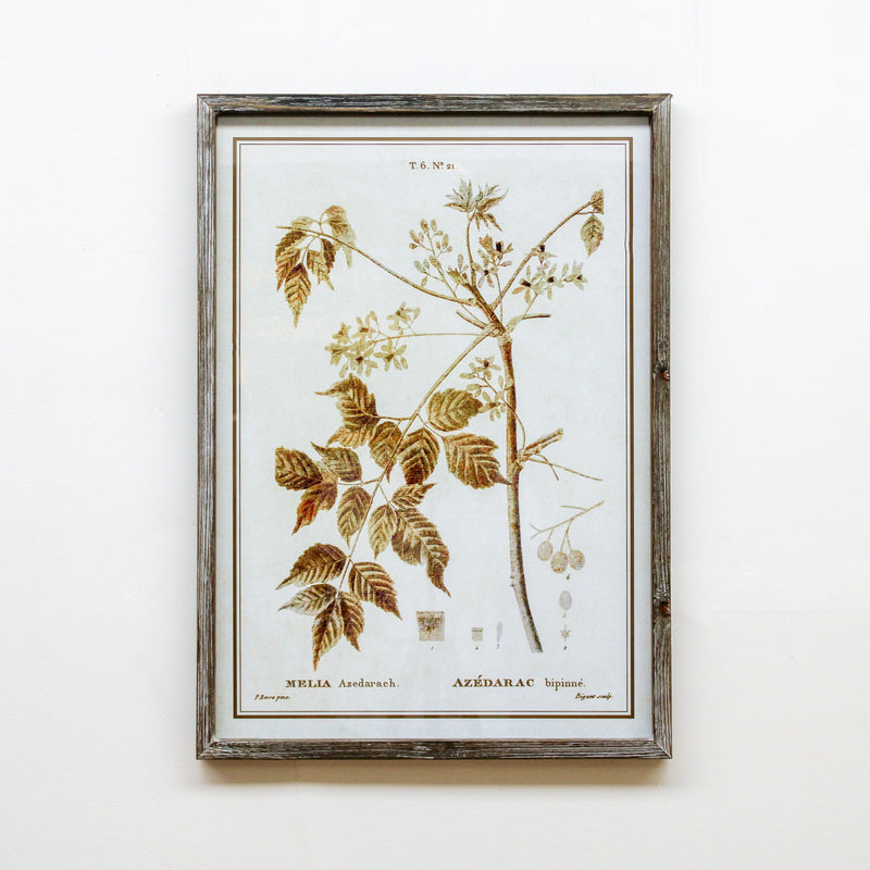 Brown Arbor Print (Style 4)