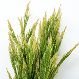 21" Green Wheat Bush