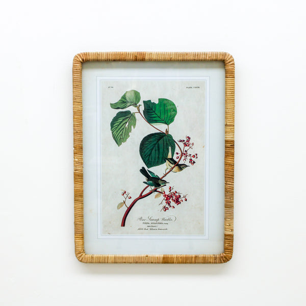23.25 Inch Bird/Botanical Print w/Rattan Frame (Pine Swamp Warbler)