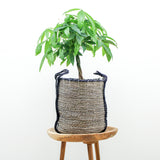 Hand-Woven Seagrass Baskets with Handles