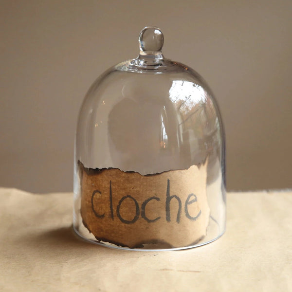 Glass Cloche