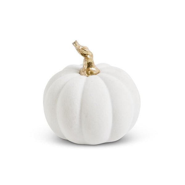 White Velvet Pumpkin with Gold Stem