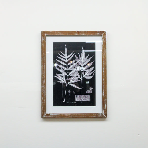23.75 Inch Black White & Gray Botanical Prints w/Natural Wood (Style 4)