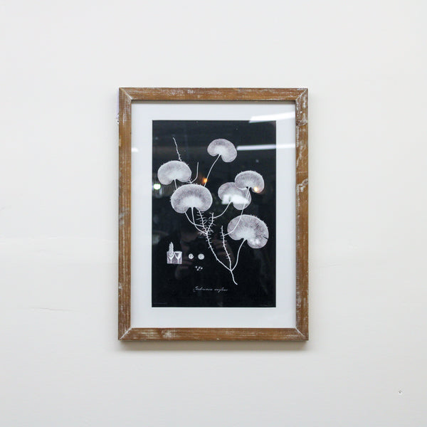 23.75 Inch Black White & Gray Botanical Prints w/Natural Wood (Style 3)