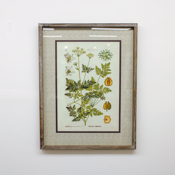 27.5 Inch Botanical Print w/ Fir Wood Frame (Style 4)