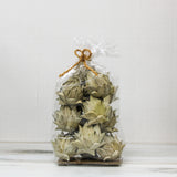 Handmade Dried Palm Leaf Artichoke in Bag